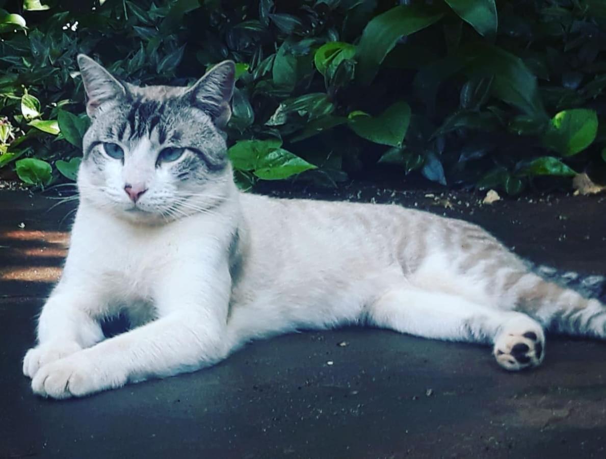 Posada Maria Iguazu Пуерто-Іґуасу Екстер'єр фото