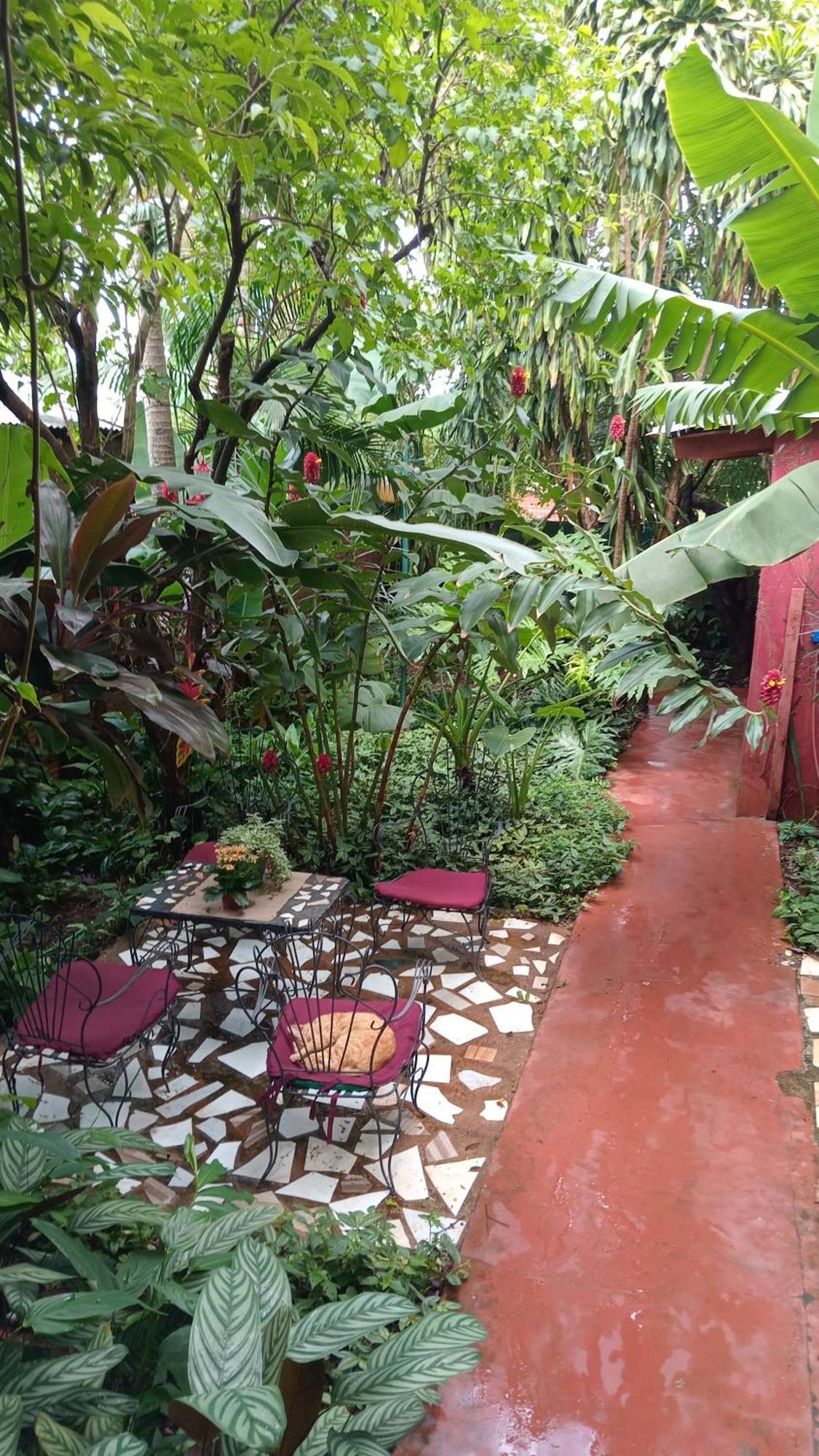 Posada Maria Iguazu Пуерто-Іґуасу Екстер'єр фото