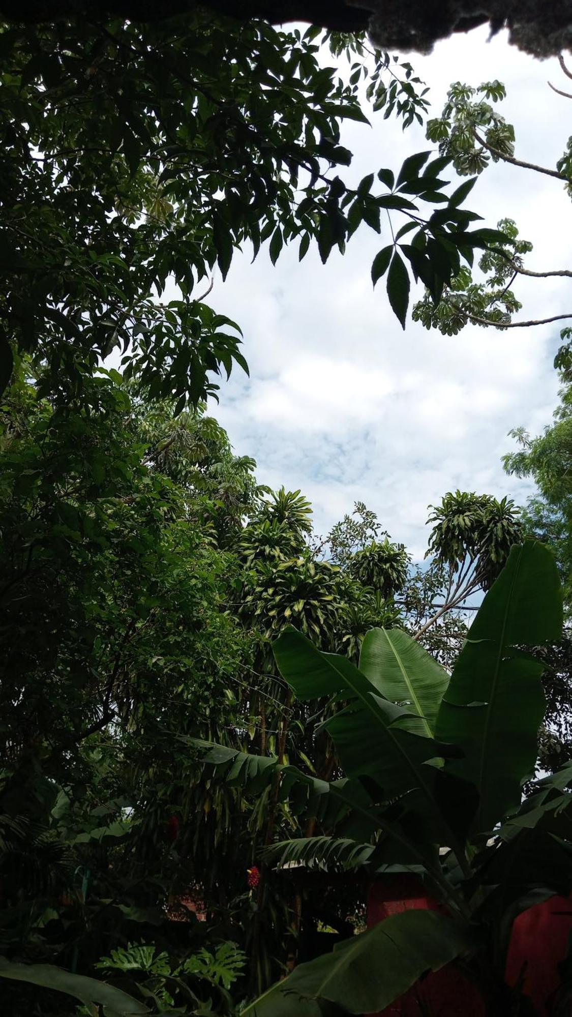Posada Maria Iguazu Пуерто-Іґуасу Екстер'єр фото