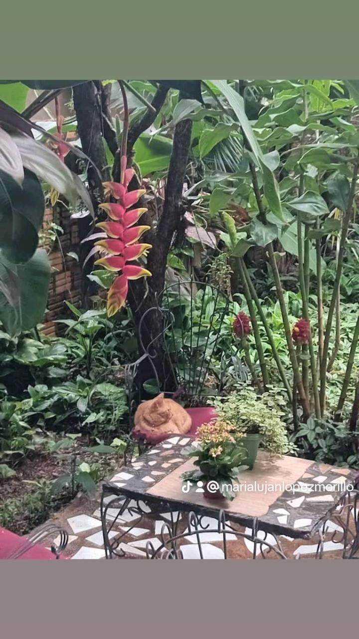 Posada Maria Iguazu Пуерто-Іґуасу Екстер'єр фото