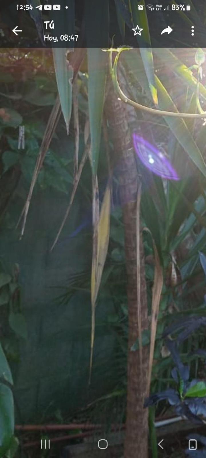 Posada Maria Iguazu Пуерто-Іґуасу Екстер'єр фото