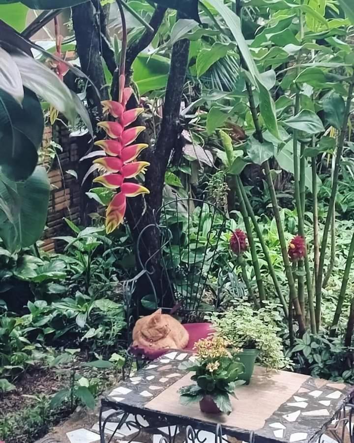 Posada Maria Iguazu Пуерто-Іґуасу Екстер'єр фото