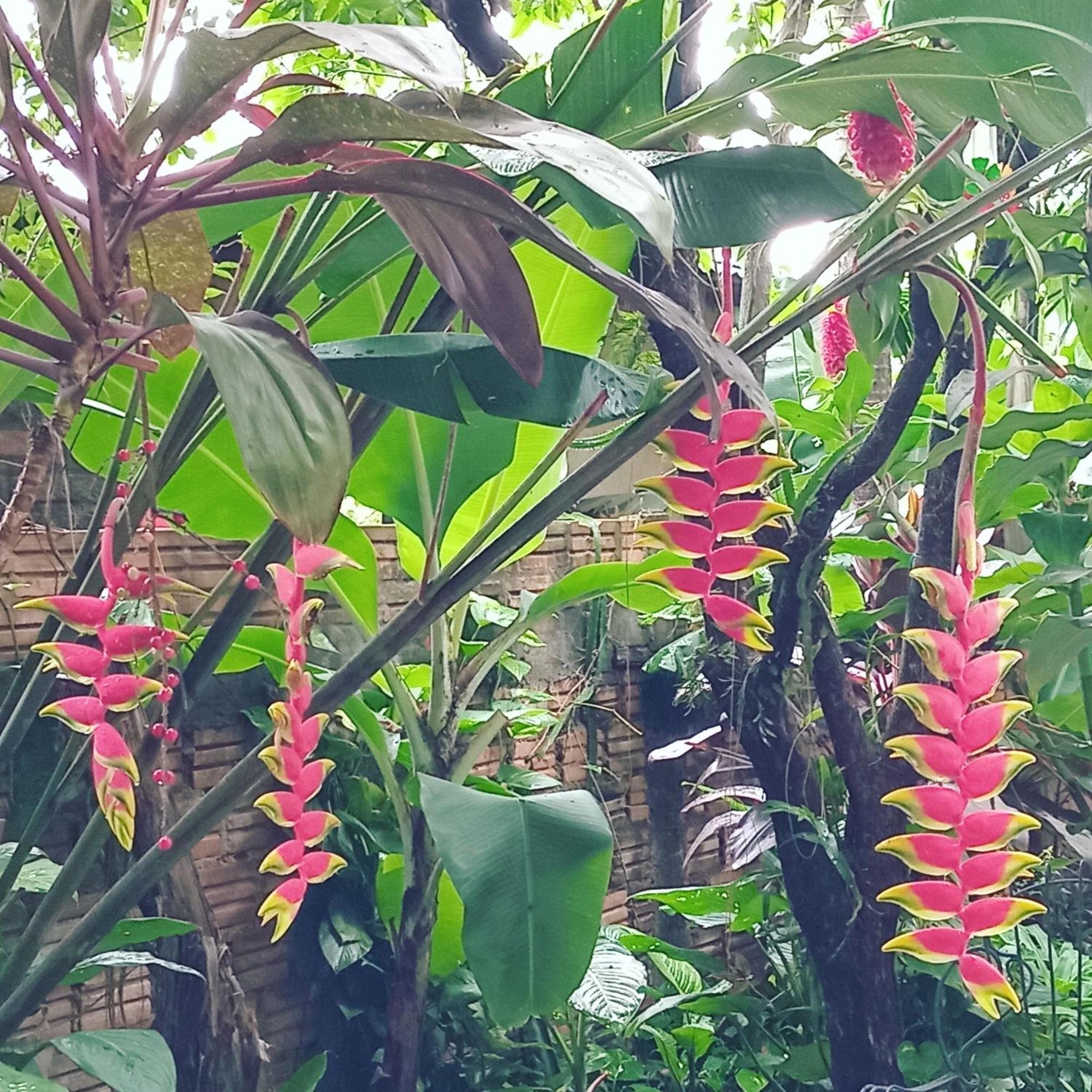 Posada Maria Iguazu Пуерто-Іґуасу Екстер'єр фото